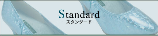 _XV[Y StandardiX^_[hj